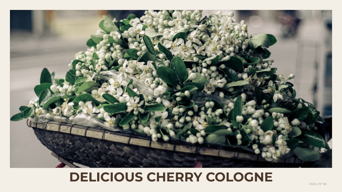 delicious cherry cologne