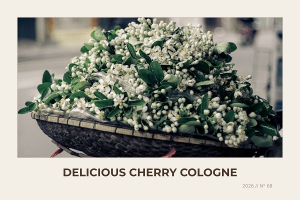 delicious cherry cologne