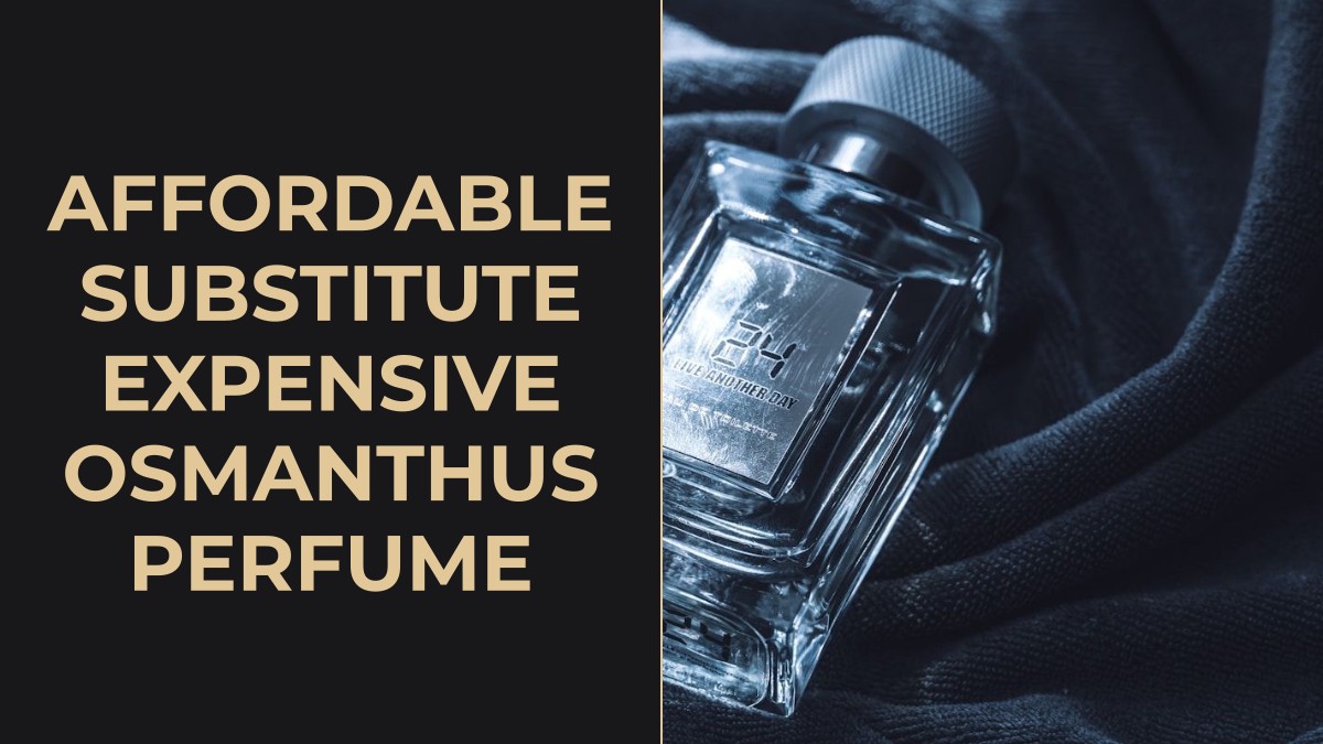 affordable substitute expensive osmanthus perfume