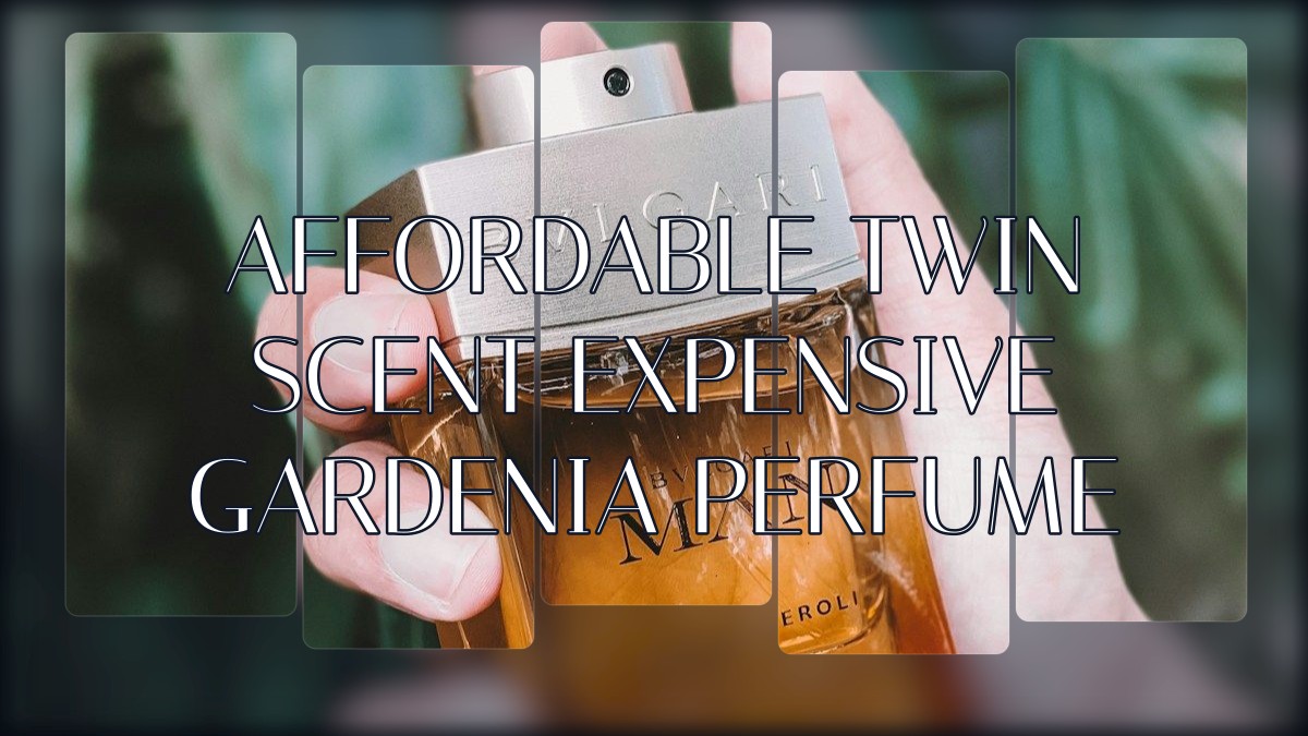 affordable twin scent expensive gardenia perfume