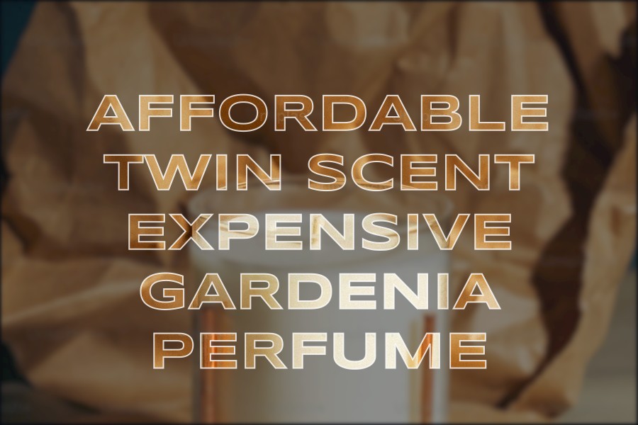 affordable twin scent expensive gardenia perfume