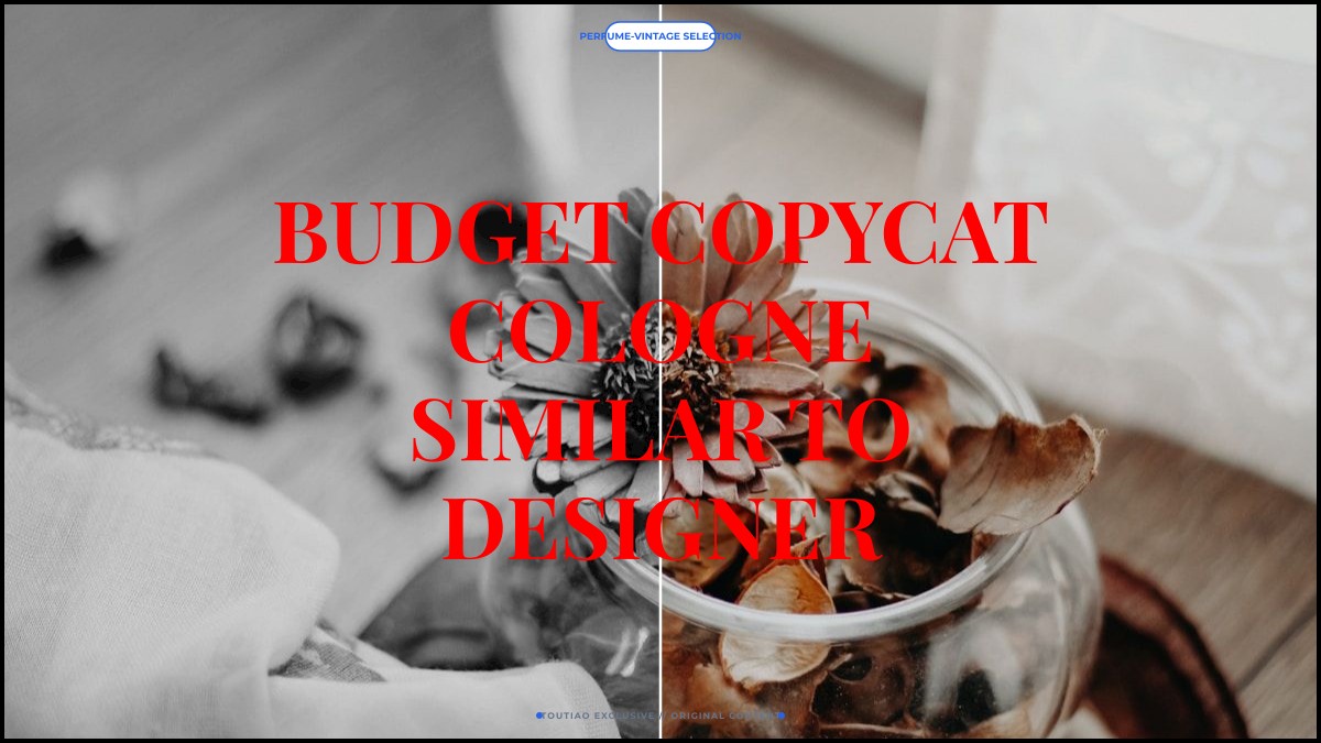 budget copycat cologne similar to designer