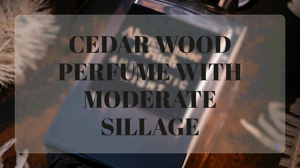 cedar wood perfume with moderate sillage