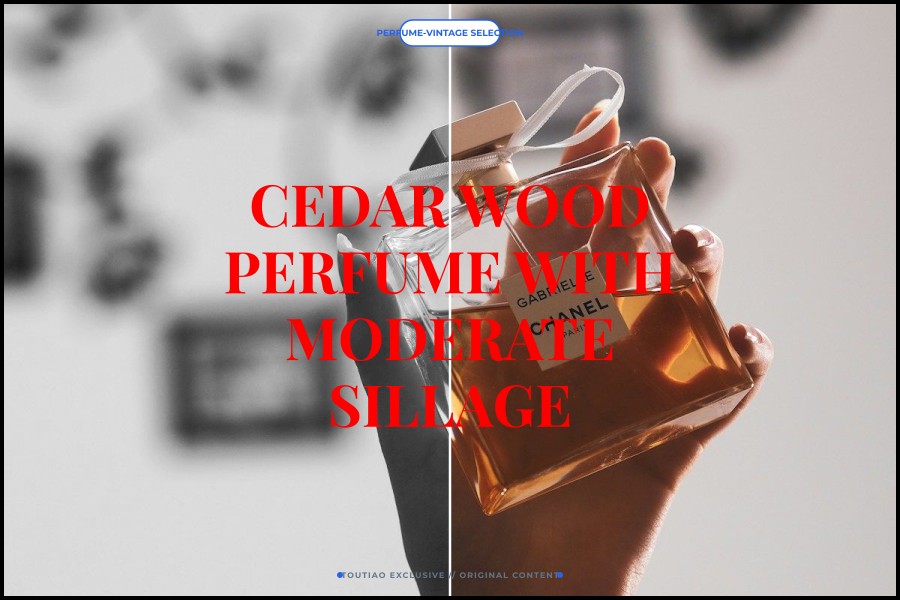 cedar wood perfume with moderate sillage
