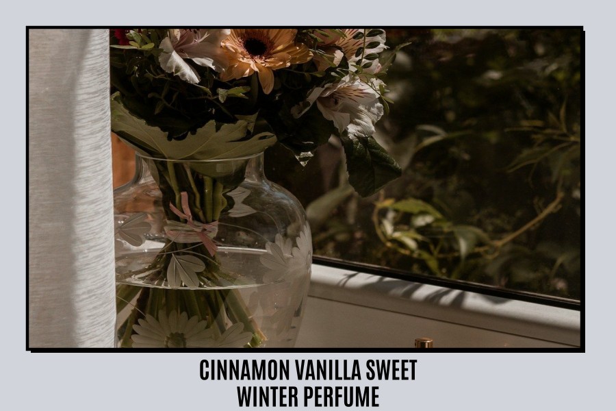 cinnamon vanilla sweet winter perfume