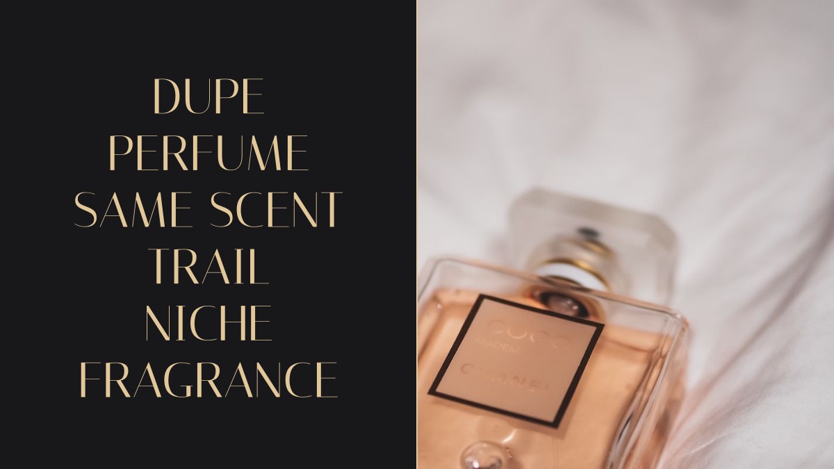 dupe perfume same scent trail niche fragrance