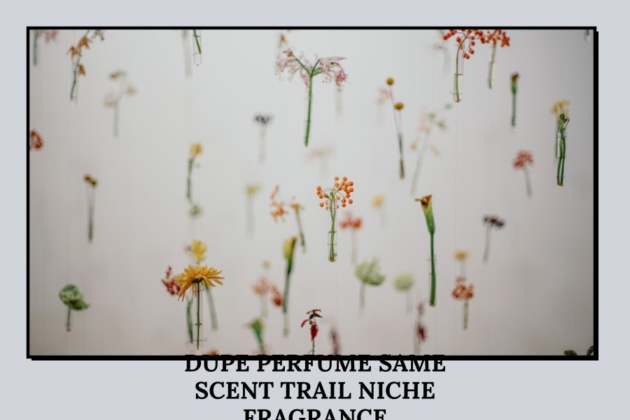 dupe perfume same scent trail niche fragrance