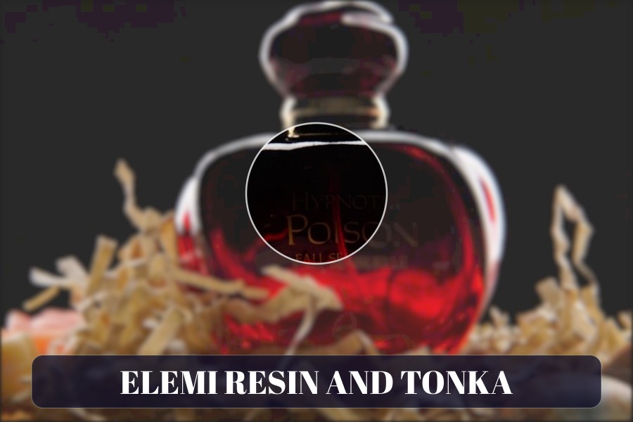 elemi resin and tonka