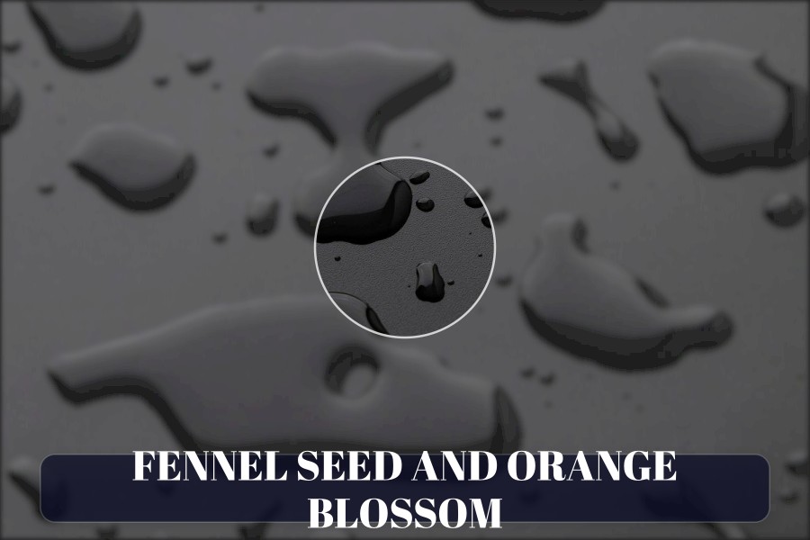 fennel seed and orange blossom