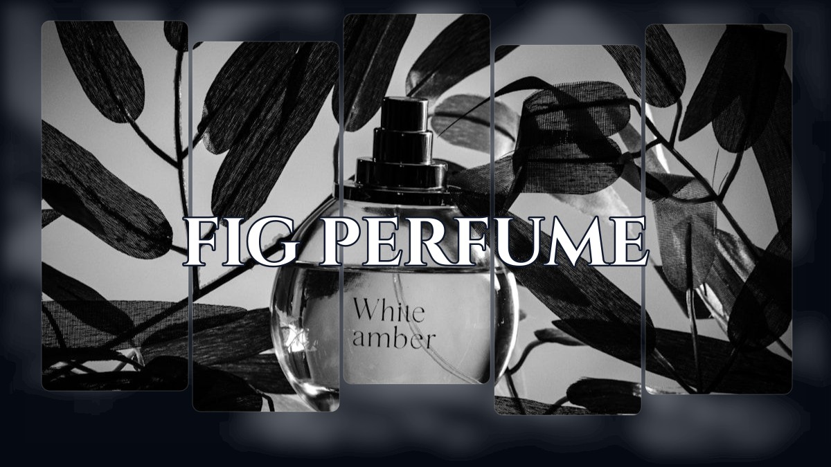 fig perfume