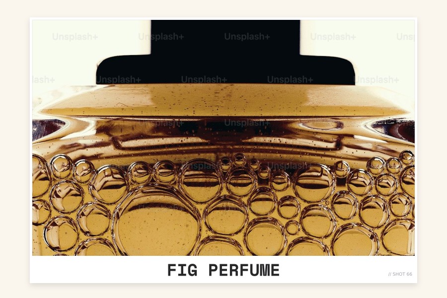 fig perfume