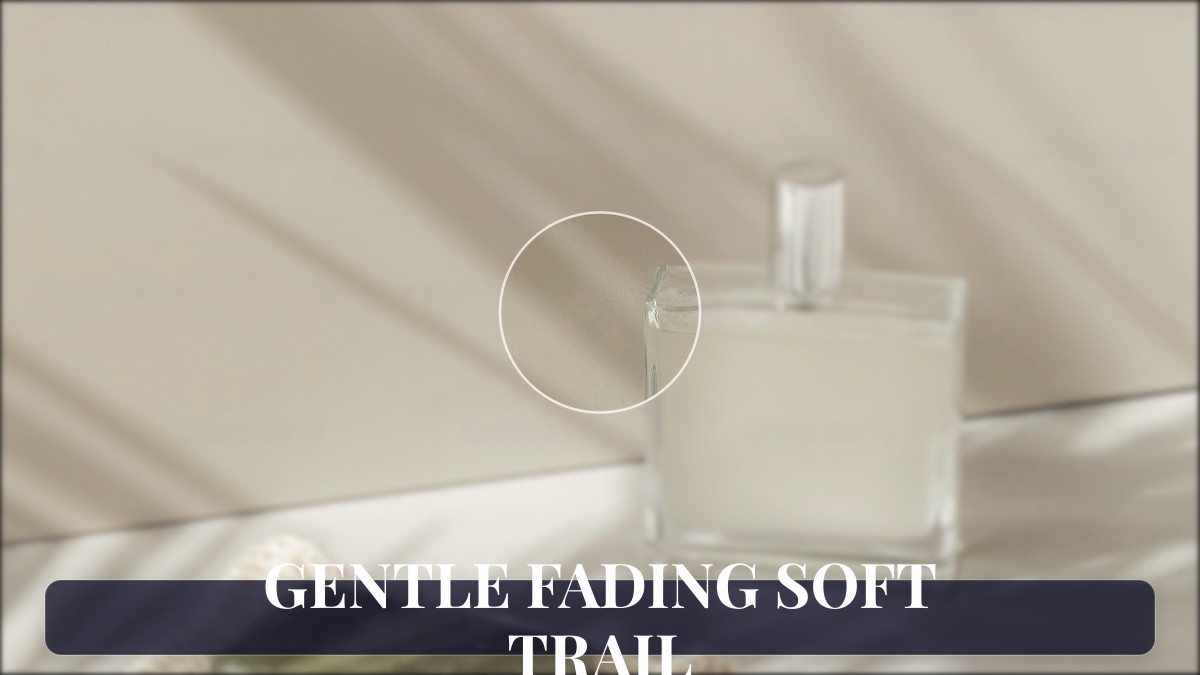 gentle fading soft trail