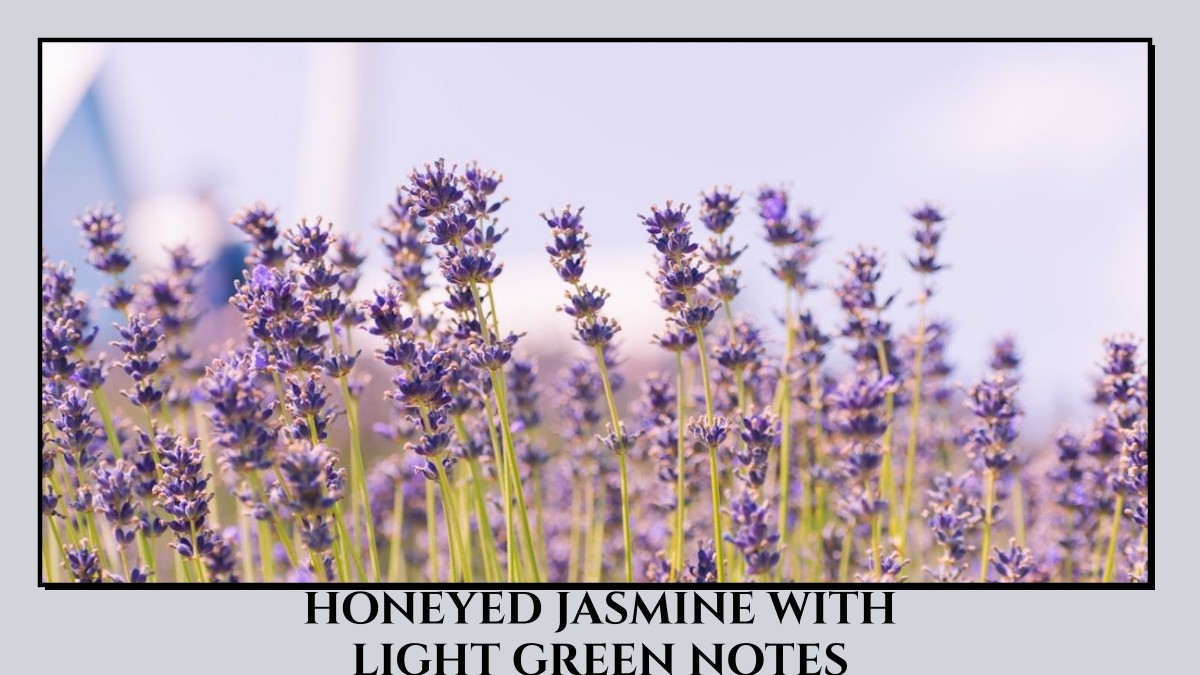 honeyed jasmine with light green notes