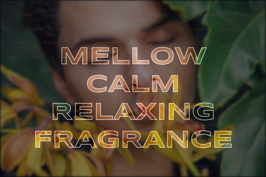 mellow calm relaxing fragrance