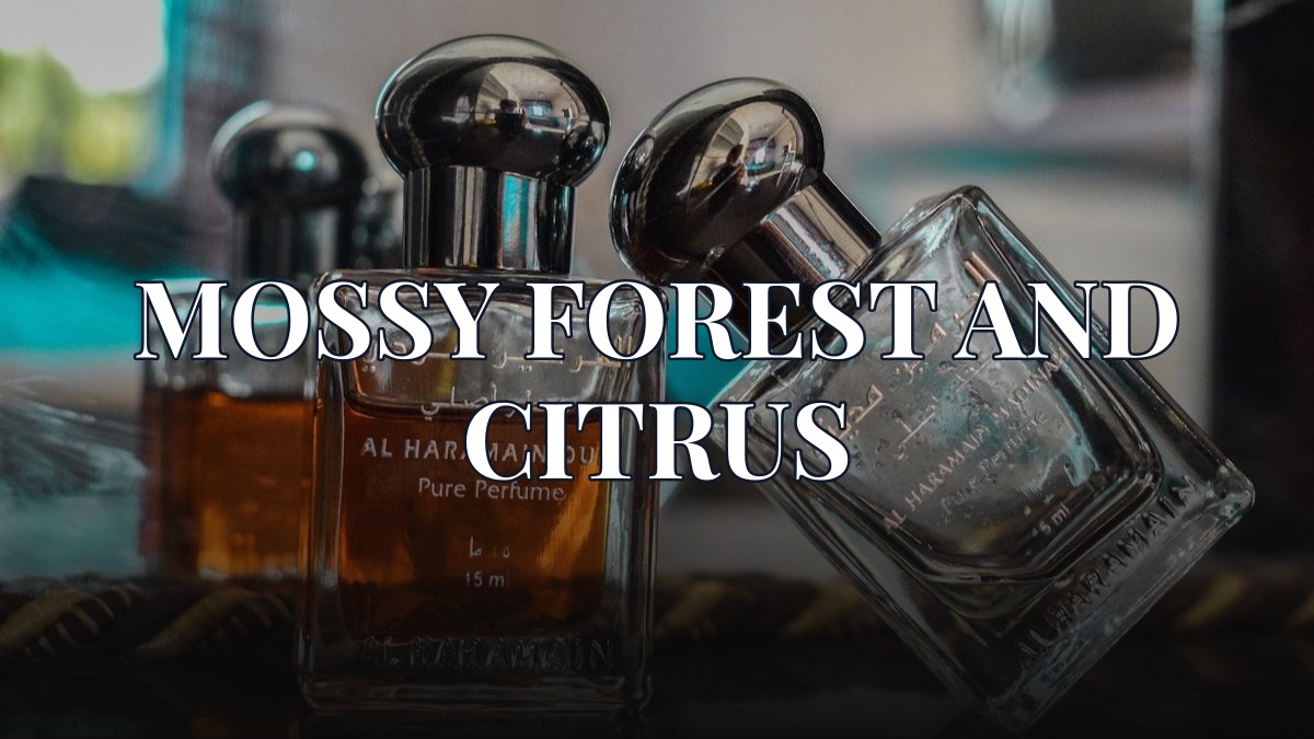 mossy forest and citrus