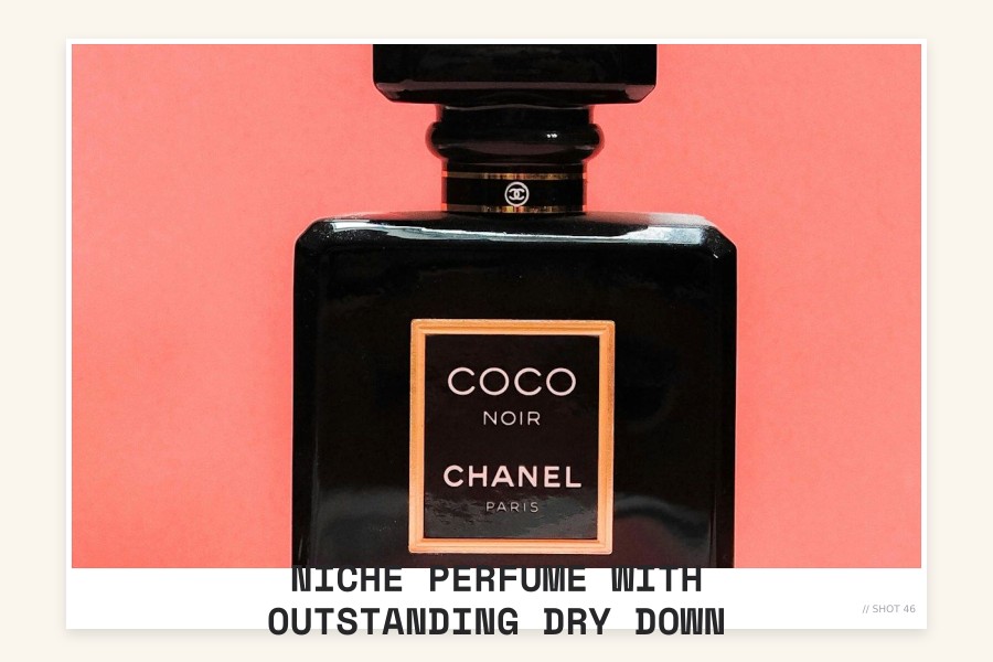 niche perfume with outstanding dry down
