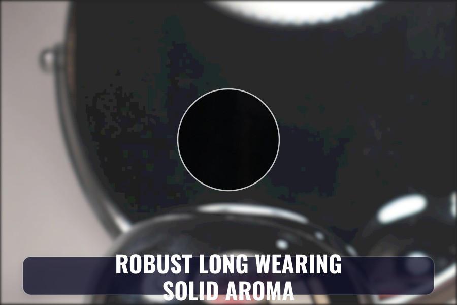 robust long wearing solid aroma