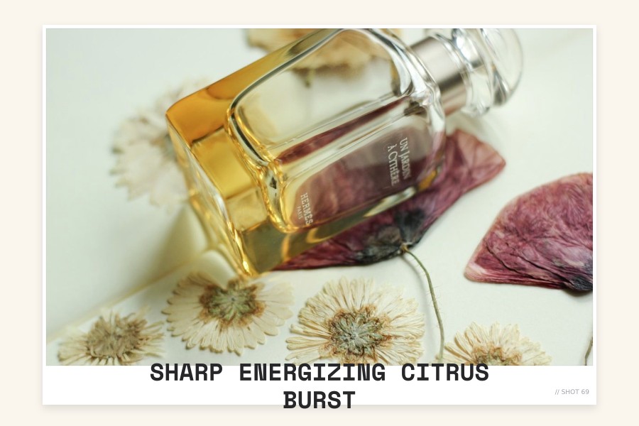 sharp energizing citrus burst