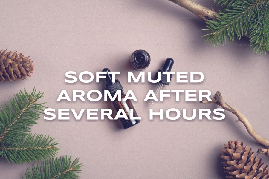 soft muted aroma after several hours