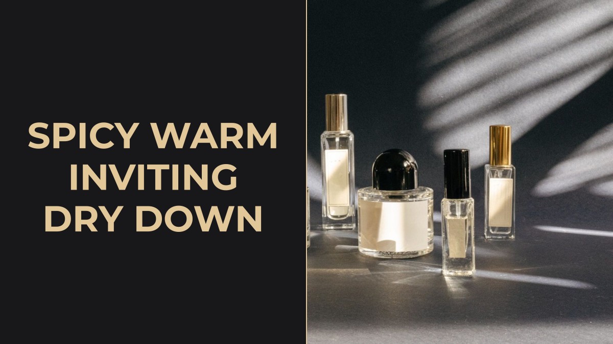 spicy warm inviting dry down
