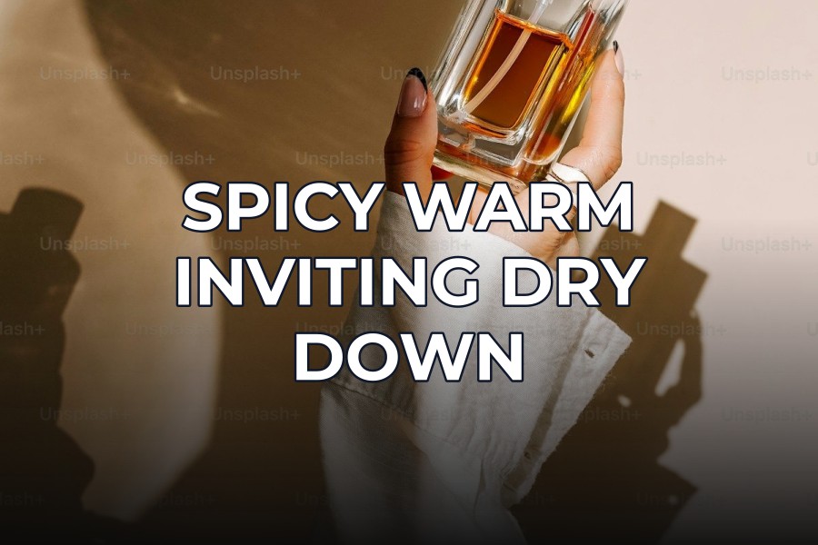 spicy warm inviting dry down
