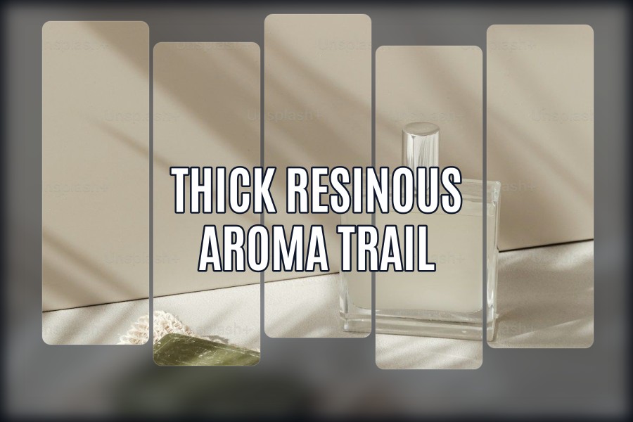 thick resinous aroma trail