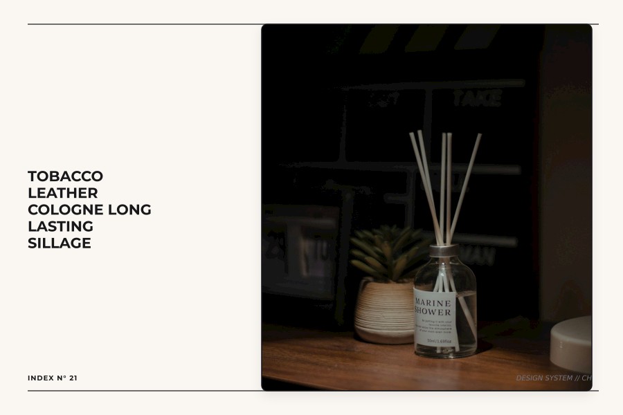 tobacco leather cologne long lasting sillage