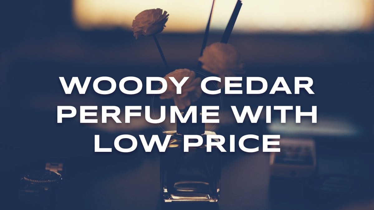 woody cedar perfume with low price