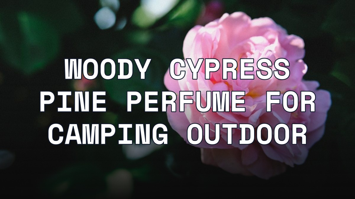 woody cypress pine perfume for camping outdoor